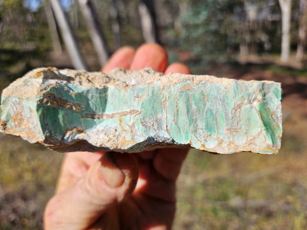 Variscite rough. VR569