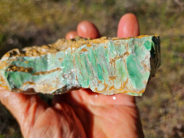 Variscite rough. VR569