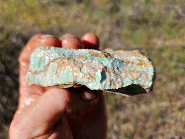 Variscite rough. VR569