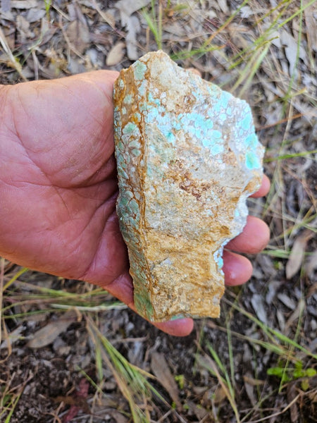 Variscite rough. VR569