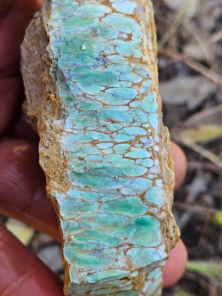 Variscite rough. VR569