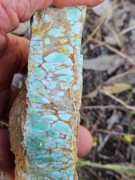 Variscite rough. VR569