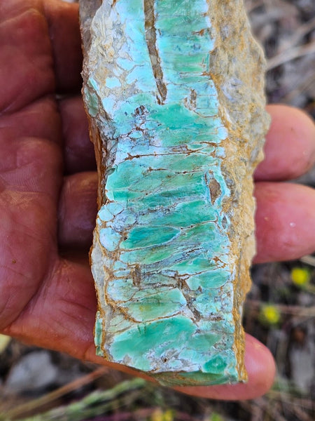 Variscite rough. VR569