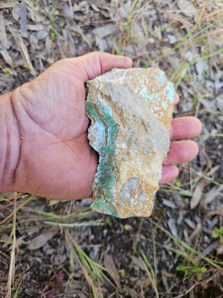 Variscite rough. VR569