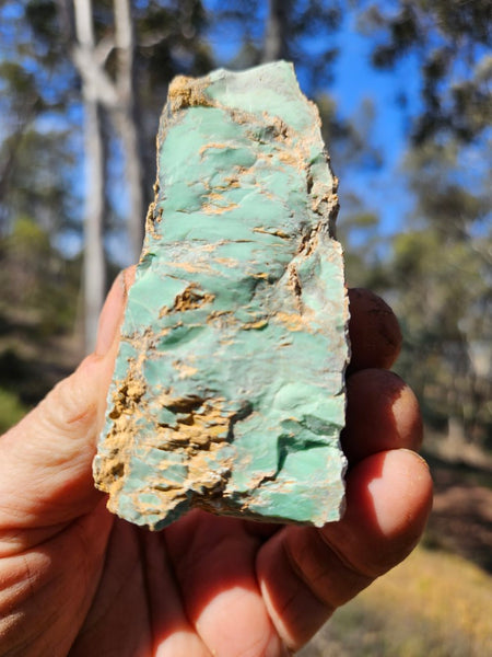 Variscite rough. VR570