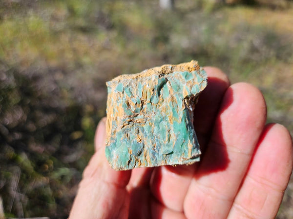 Variscite rough. VR570