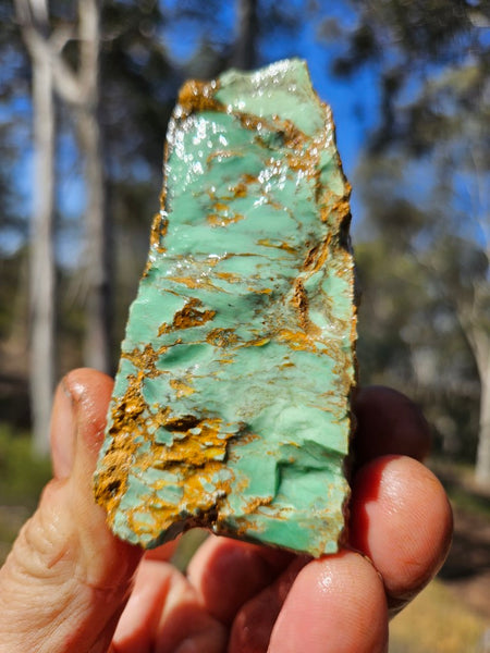 Variscite rough. VR570