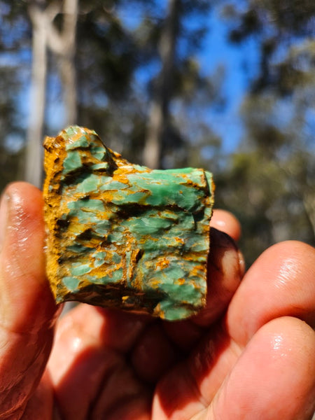 Variscite rough. VR570