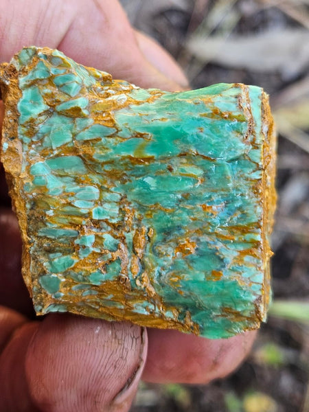 Variscite rough. VR570