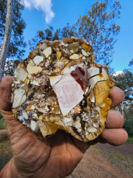 Polished Brecciated Mookaite slab BM321