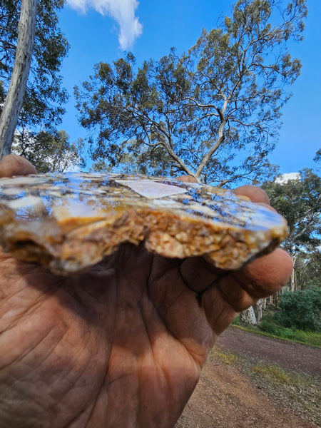 Polished Brecciated Mookaite slab BM321