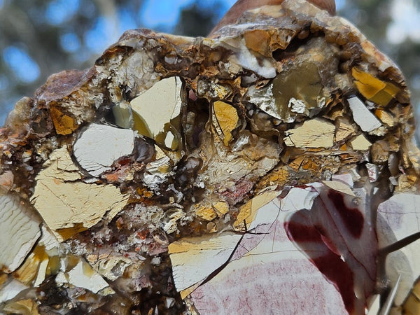 Polished Brecciated Mookaite slab BM321