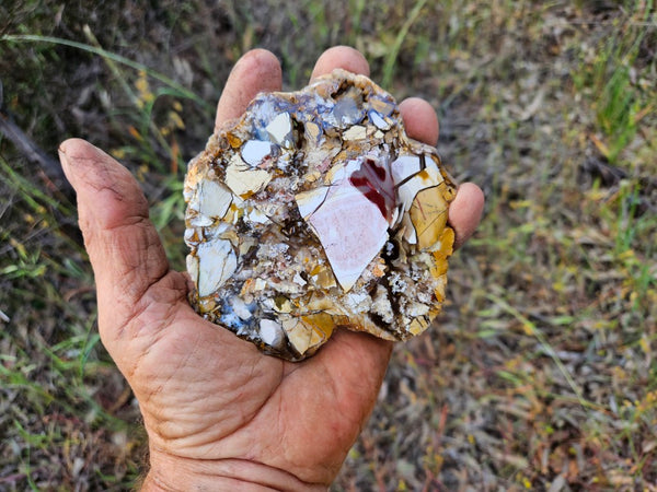 Polished Brecciated Mookaite slab BM321