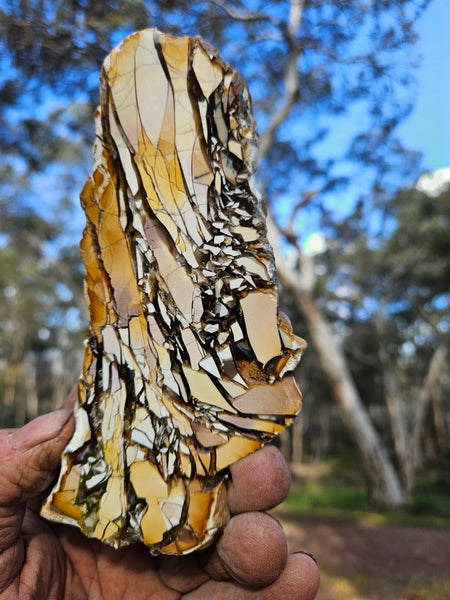 Polished Brecciated Mookaite slab BM322