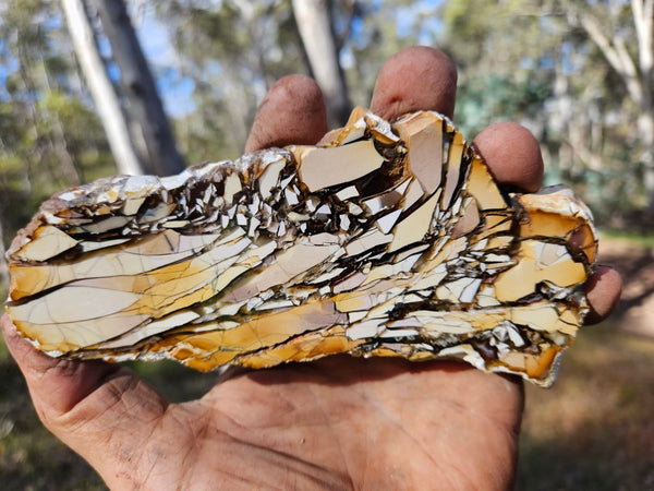 Polished Brecciated Mookaite slab BM322