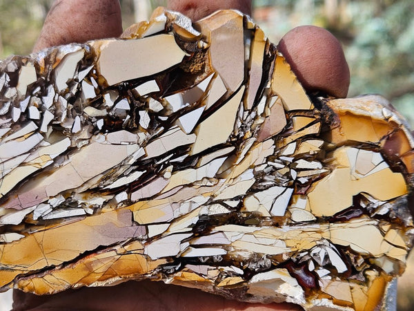 Polished Brecciated Mookaite slab BM322