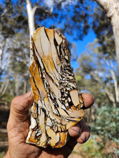 Polished Brecciated Mookaite slab BM322