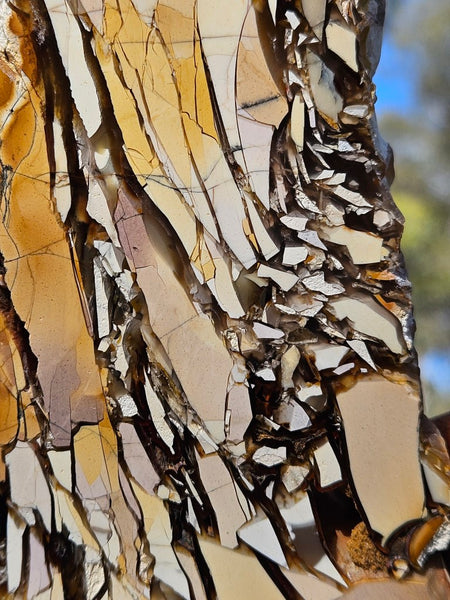 Polished Brecciated Mookaite slab BM322