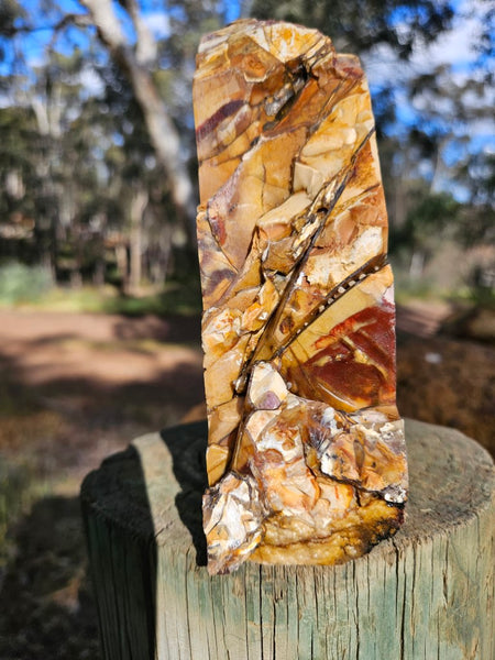 Polished Brecciated Mookaite rock BM320