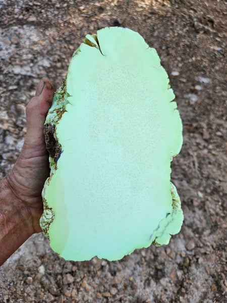 Polished Lime Magnesite specimen. MAP213