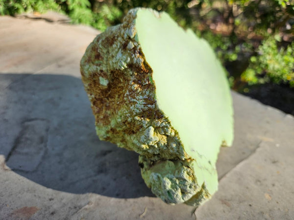 Polished Lime Magnesite specimen. MAP213