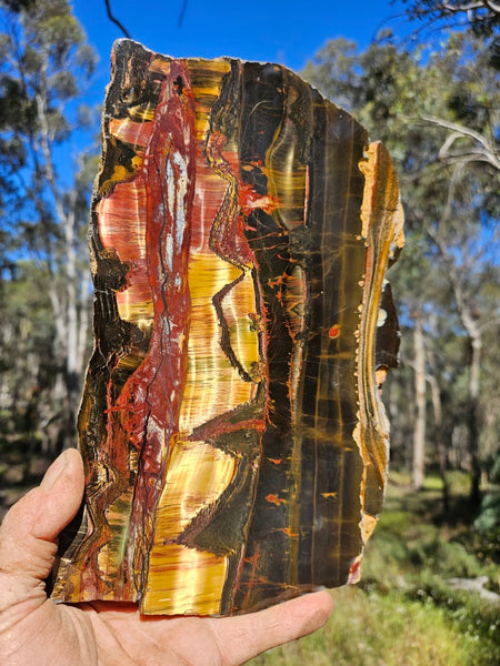 Polished Tiger Eye slab TE428