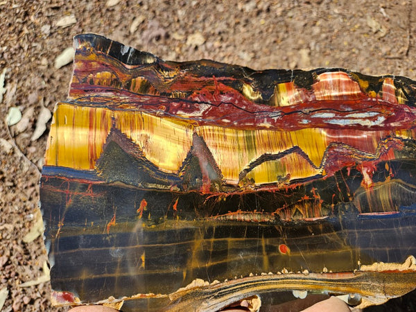 Polished Tiger Eye slab TE428