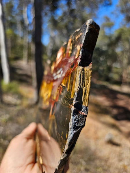 Polished Tiger Eye slab TE428