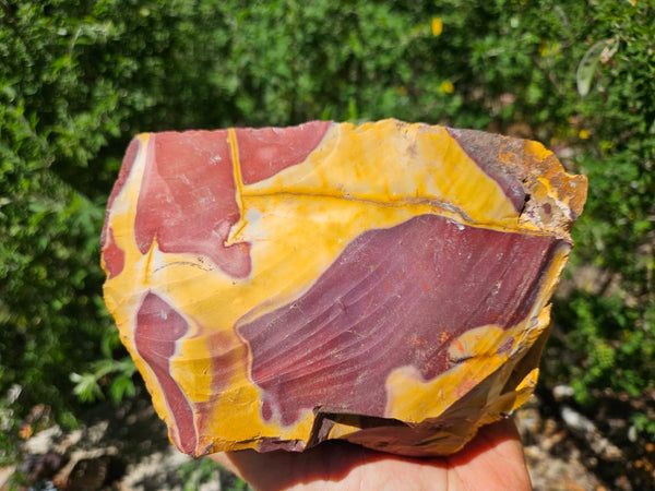 Mookaite rough.  MKR 261