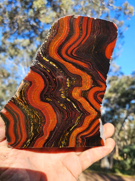 Polished Tiger Iron display specimen TI338