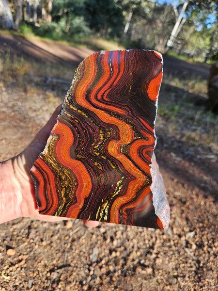 Polished Tiger Iron display specimen TI338