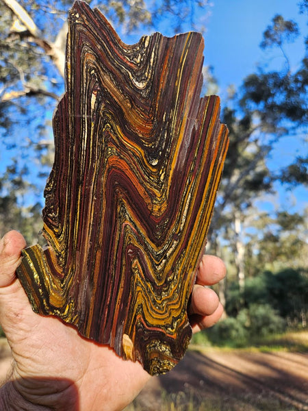 Polished Tiger Iron slab TI339