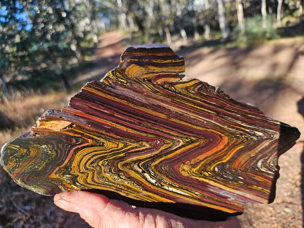 Polished Tiger Iron slab TI339