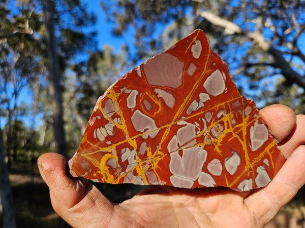 Polished Noreena Jasper slab. NJ478