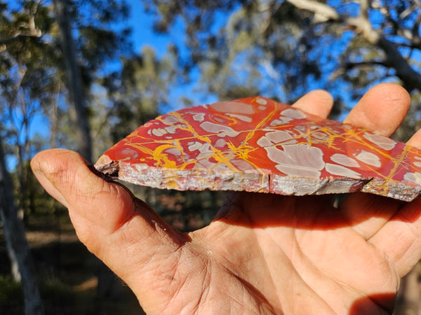 Polished Noreena Jasper slab. NJ478