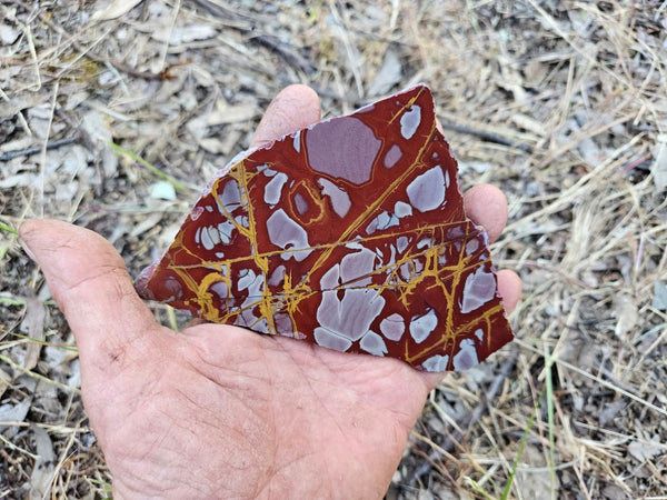 Polished Noreena Jasper slab. NJ478