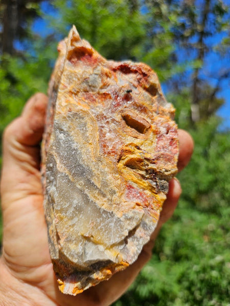 Crazy Lace Agate rough.  CLR 119