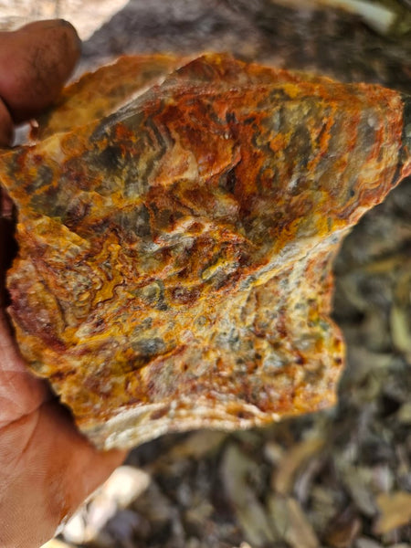 Crazy Lace Agate rough.  CLR 119