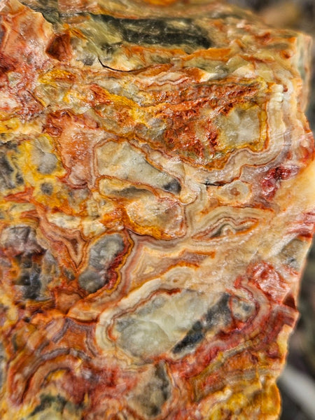 Crazy Lace Agate rough.  CLR 119