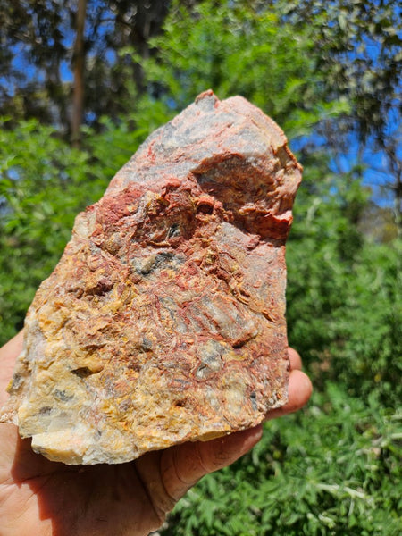 Crazy Lace Agate rough.  CLR 121