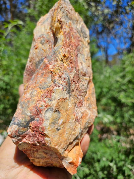 Crazy Lace Agate rough.  CLR 122