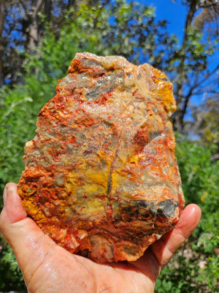 Crazy Lace Agate rough.  CLR 122