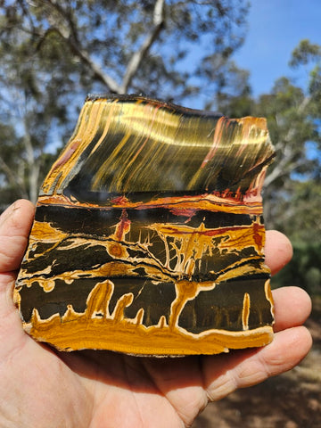 Polished Tiger Eye slab TE430