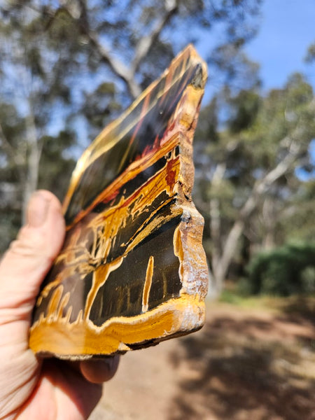 Polished Tiger Eye slab TE430