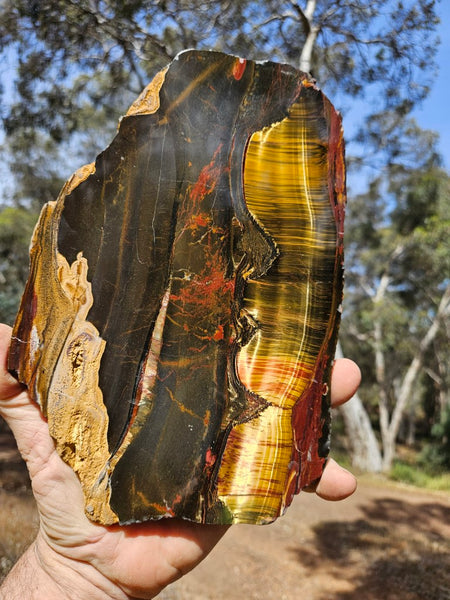 Polished Tiger Eye slab TE431