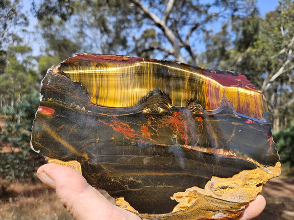 Polished Tiger Eye slab TE431