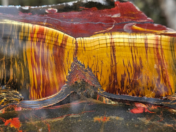 Polished Tiger Eye slab TE431