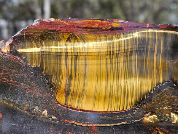 Polished Tiger Eye slab TE431