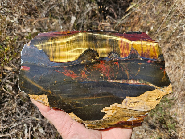 Polished Tiger Eye slab TE431