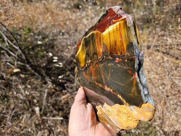 Polished Tiger Eye slab TE431